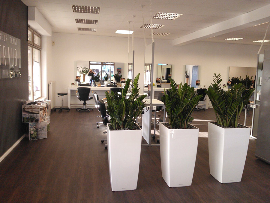 Ihr Friseur in Bad Neustadt